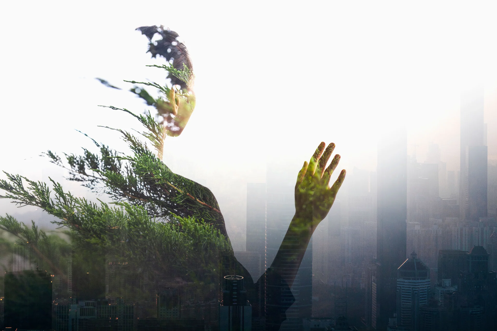 environmental pollution