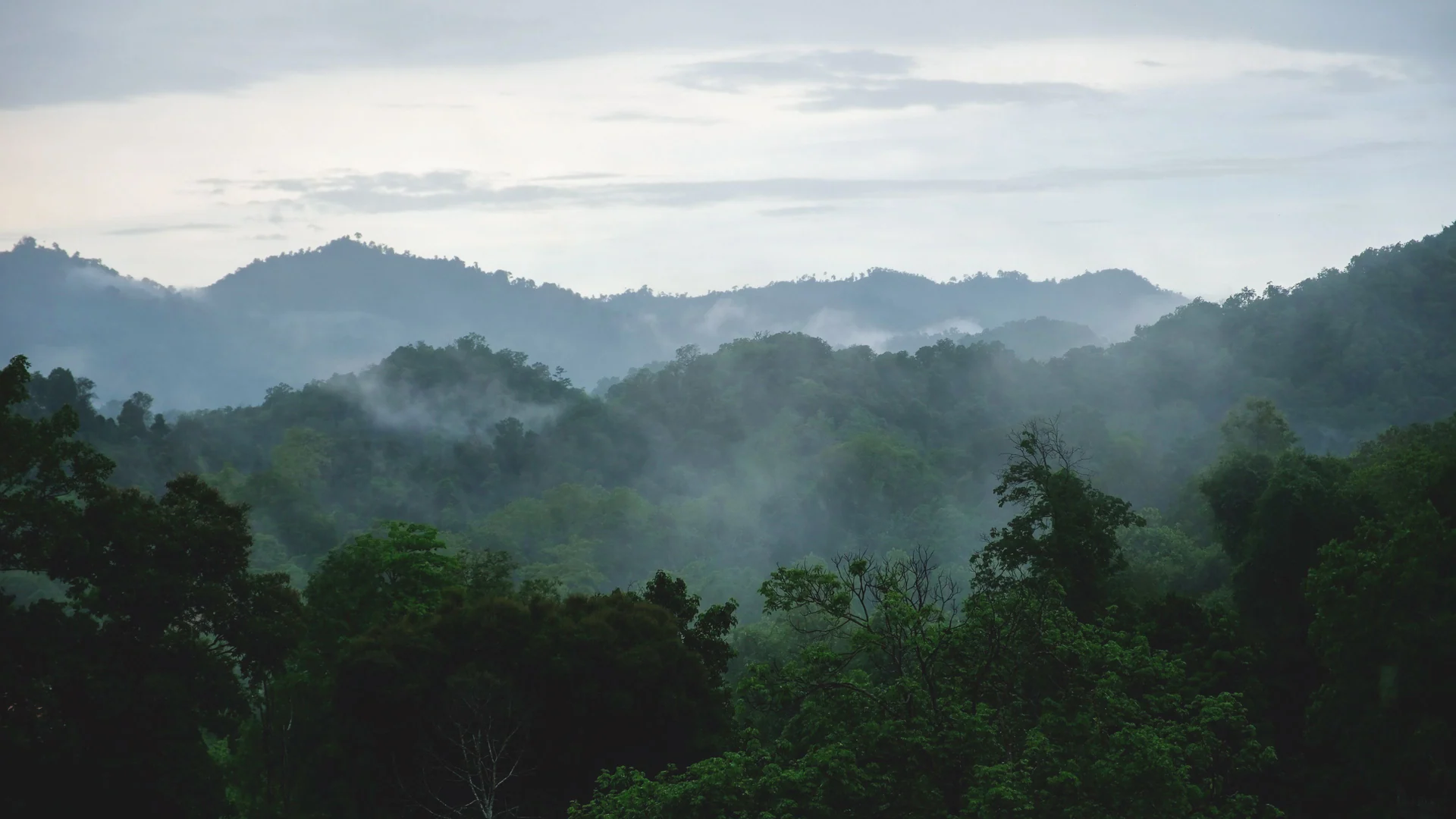 rainy season
