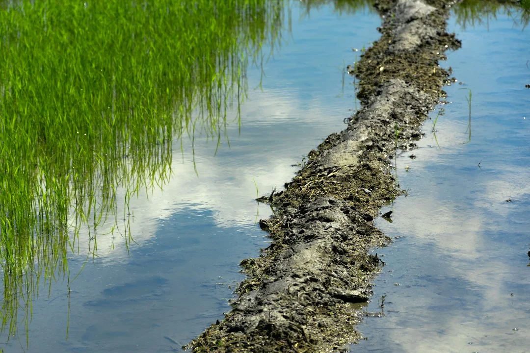bioremediation