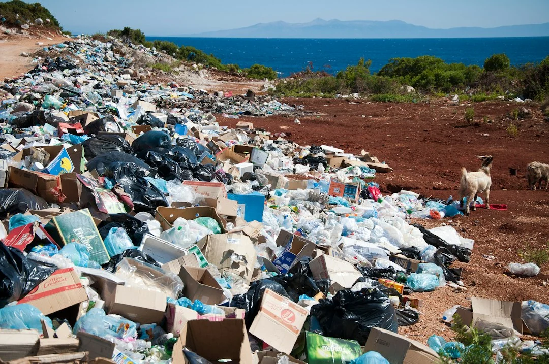 water pollution