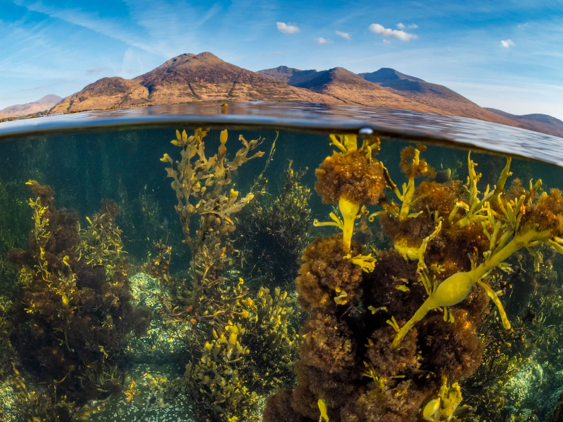 aquatic ecosystem