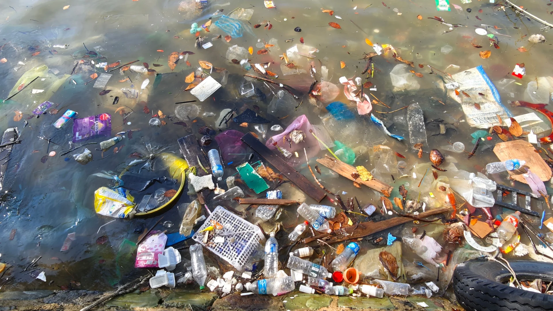 water pollution