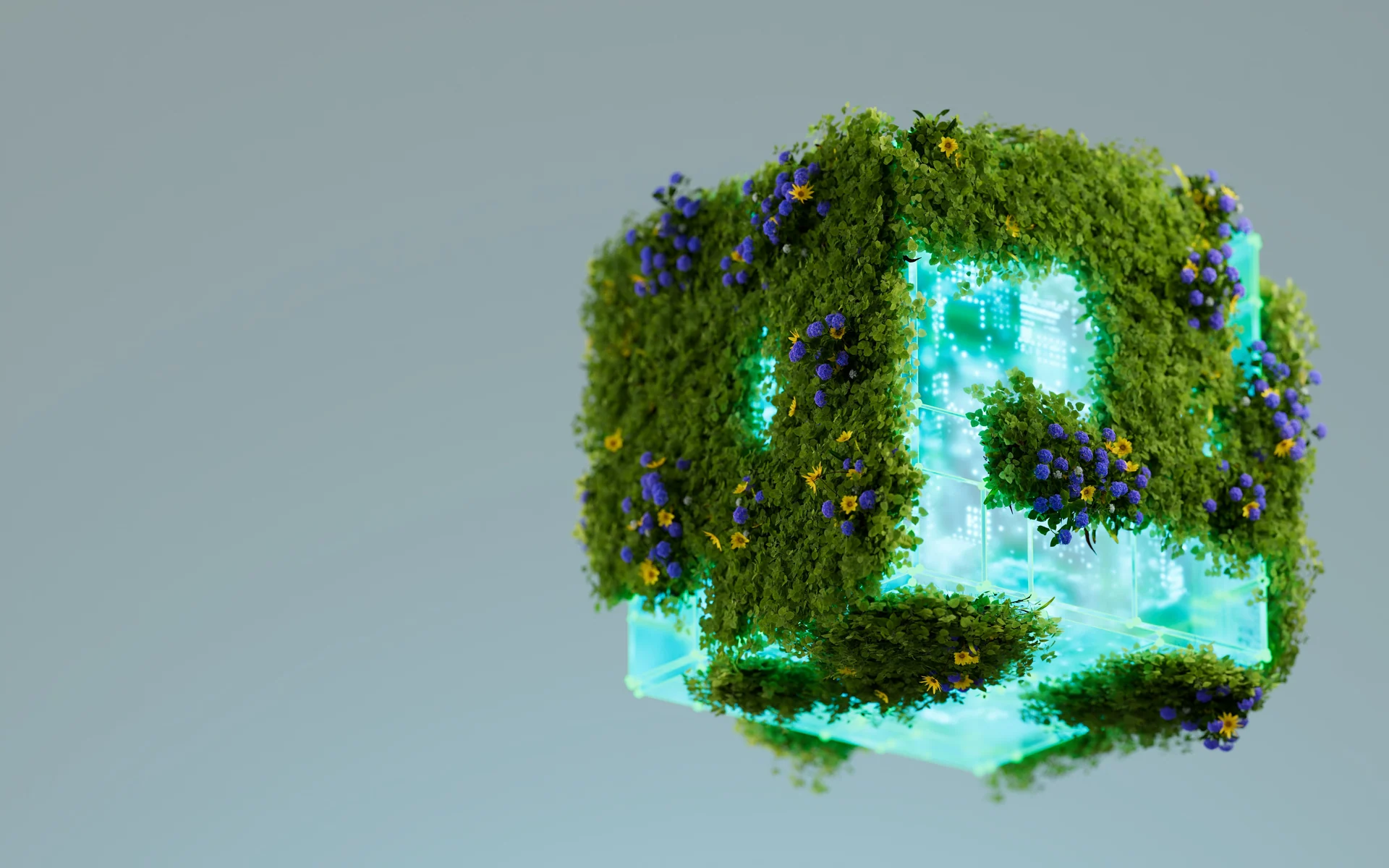 environmental regulation