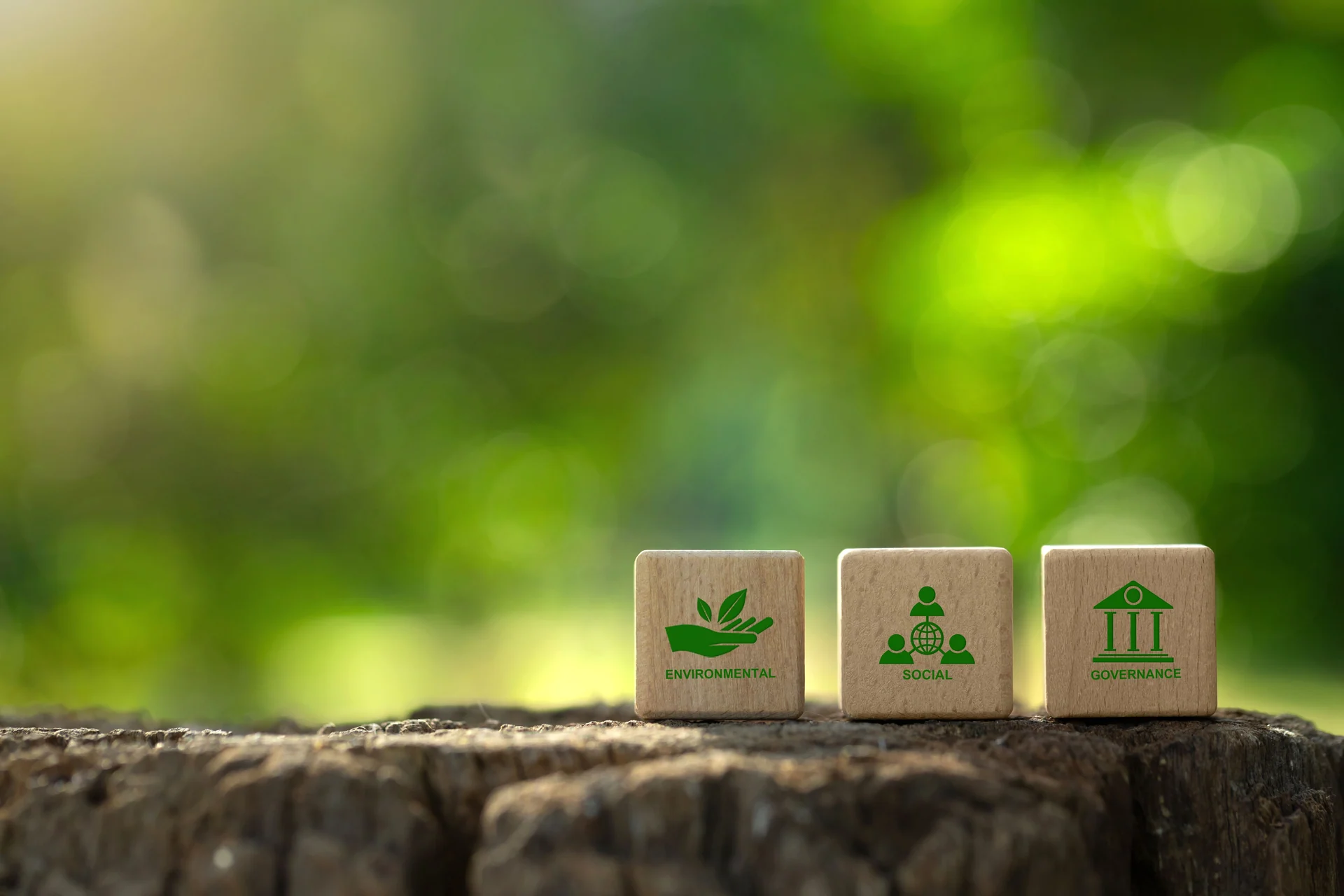 environmental compliance