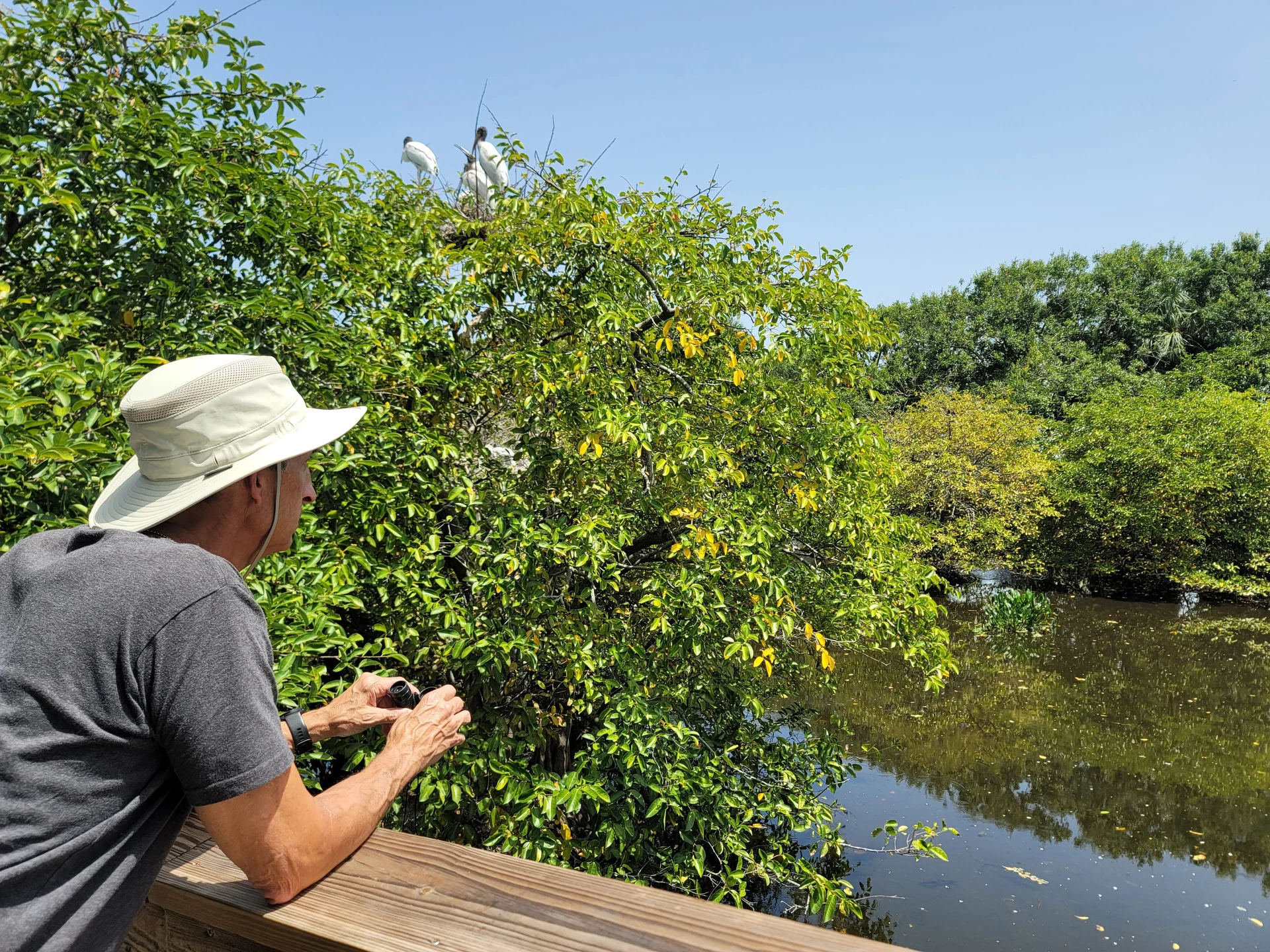florida wetlands