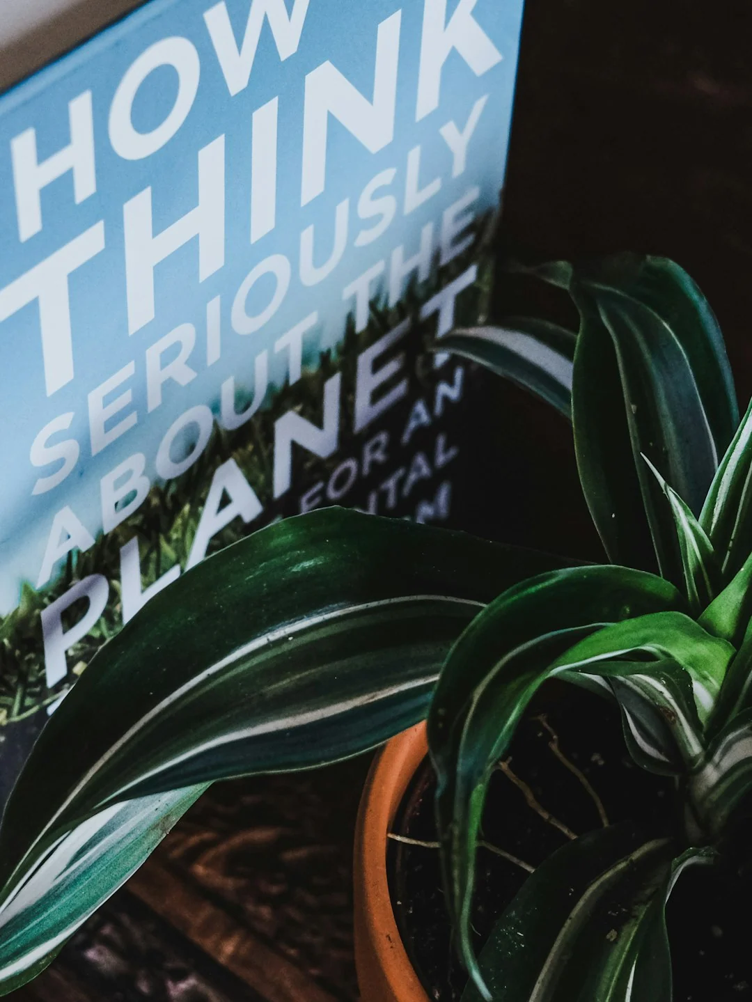 environmental regulation