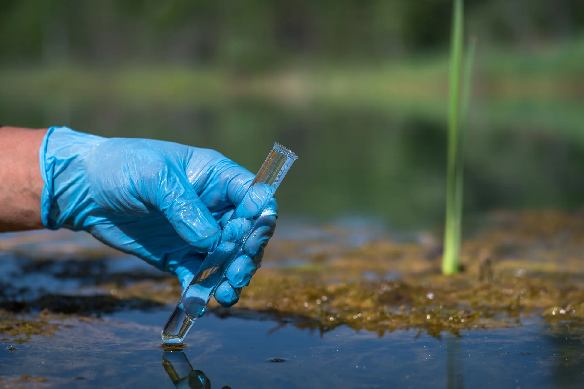 water testing