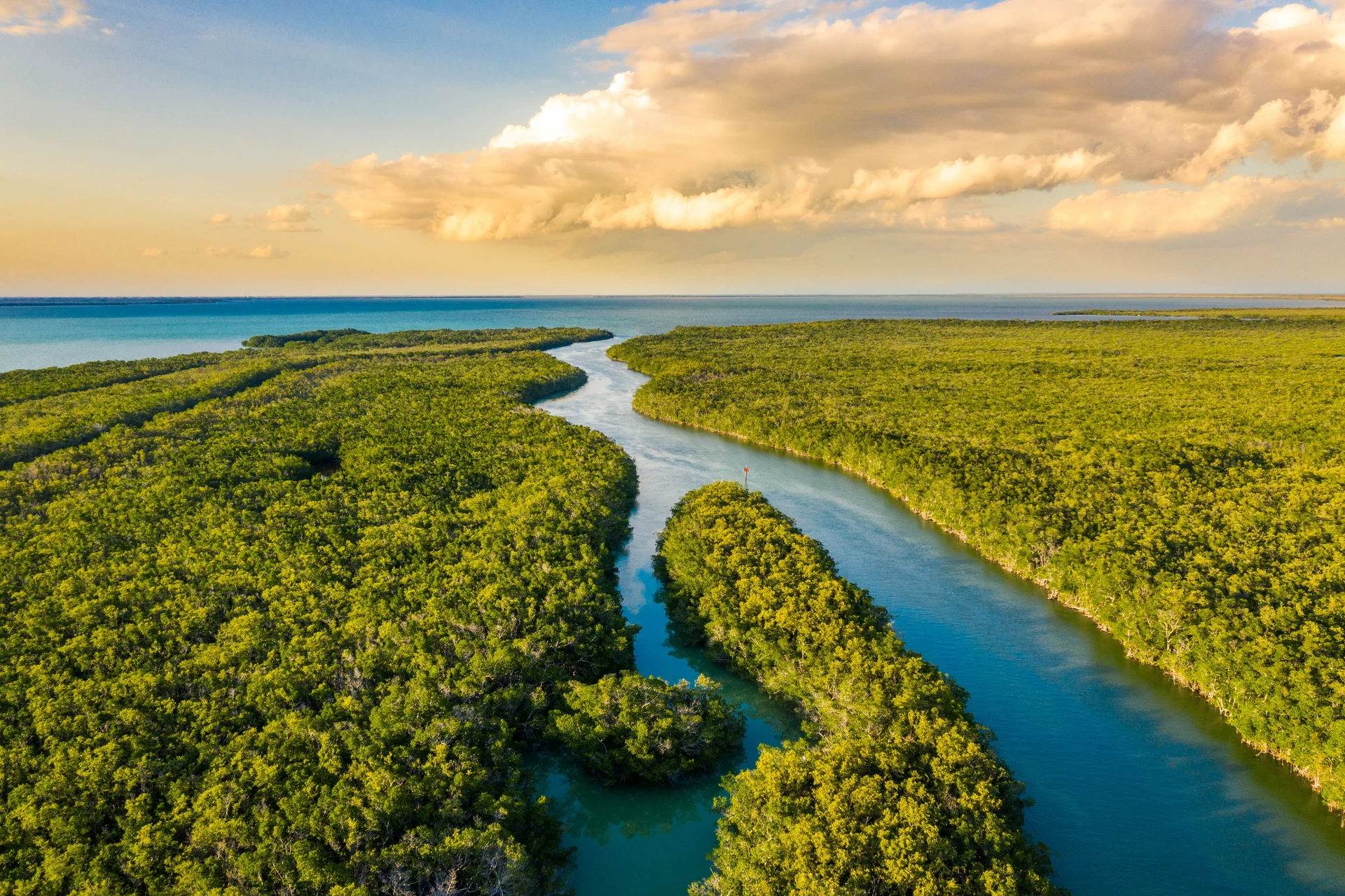 florida environment