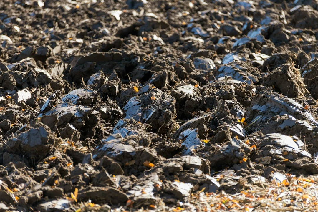 soil remediation